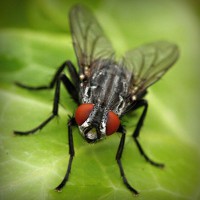 /album/tcue-eg/photolia-a01-jpg/