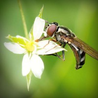/album/tcue-eg/photolia-a02-jpg/