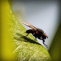 /album/tcue-eg/photolia-a04-jpg/