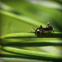 /album/tcue-eg/photolia-a05-jpg/