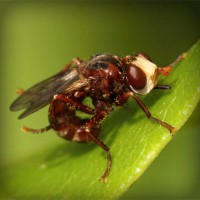 /album/tcue-eg/photolia-a06-jpg/