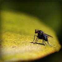 /album/tcue-eg/photolia-a07-jpg/
