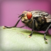 /album/tcue-eg/photolia-a08-jpg/
